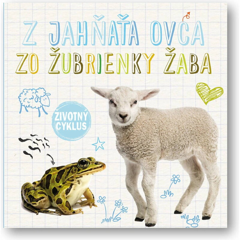 Svojtka - Životný cyklus – Z jahňaťa ovca, zo žubrienky žaba